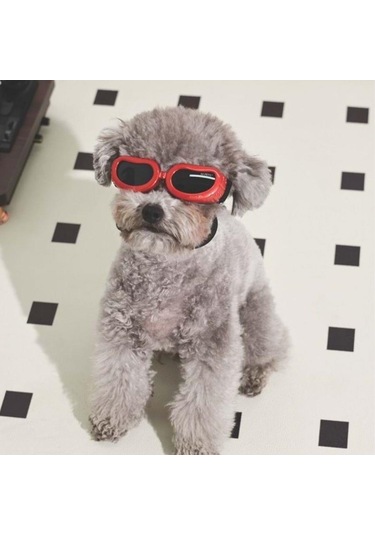 M-pets Sunny Daytrip Köpek Gözlüğü Kırmızı