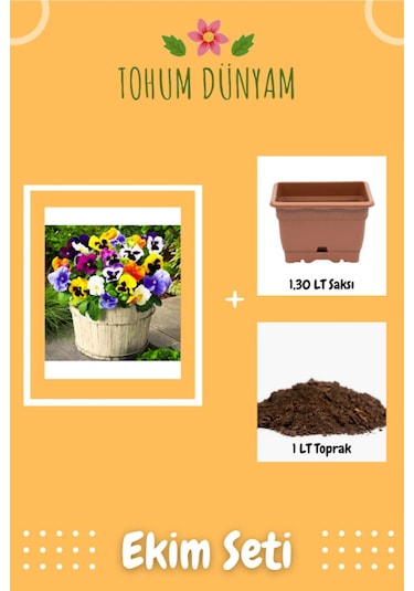 Karışık Renkli Menekşe Çiçeği Tohumu Ekim Seti