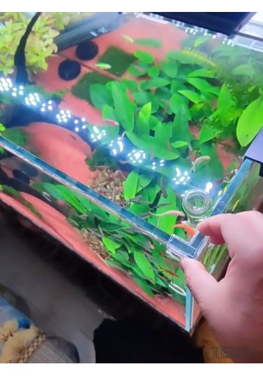 Tevdı Akvaryum Koruma Köşelikleri 4 Adet, Silikon, 5 Mm 307580340