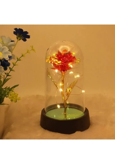 Suofeng Kutulu Mavi Gül Cam Kubbe Led Gece Lambası - Sevgi Simgesi Ev Dekorasyonu Hediyelik Ürün Kırmızı