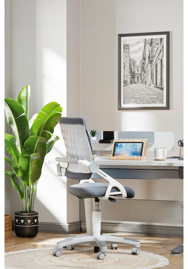 Creo Mobili Yükseklik Ve Sırt Ayarlı Sirius Çalışma Sandalyesi Ofis, Bilgisayar Koltuğu Antrasit/gri Gri