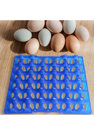 Suntek Çiftlik Yumurta Kabı Uzun Mesafe Taşıma Nefes Mavi