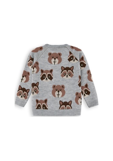 Denokids Ayı Rakun Erkek Çocuk Gri Triko Kazak Renkli