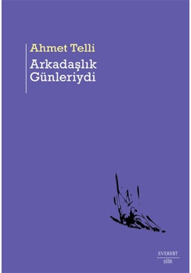 Arkadaşlık Günleriydi + Su Çürüdü Ciltli + Saklı Kalan + Okuma Sticker'ları