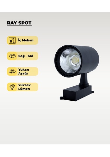 30w Siyah Ray Spot 4000k Gün Işığı Siyah