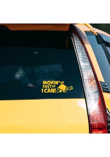 Yansıtıcı Hareket Mümkün Olduğunca Hızlı Hayvan Araba Çizgi/çizik Kapağı Yaratıcı Whıte 1 Piece Set