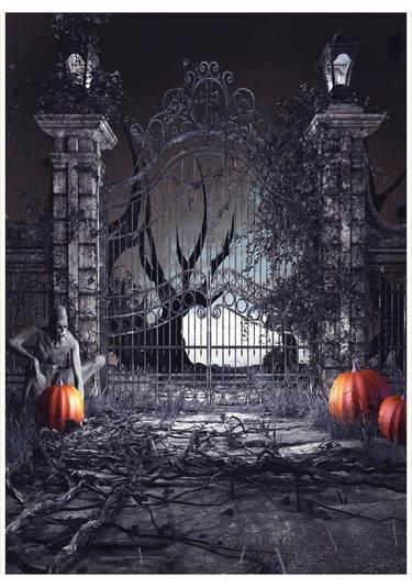 Youtek Halloween Temalı Fotoğraf Arka Planı 210x150cm - Dokunsuz, Yansımasız Ve Parlak Olmayan Poliester Dz-821 Siyah