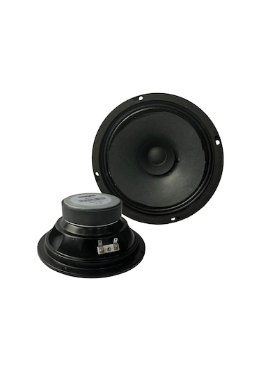 Lastvoice Ayn-6 Full Kağıt 100 Watt 8 Ohm 16 Cm 6 İnç Hoparlör Adet