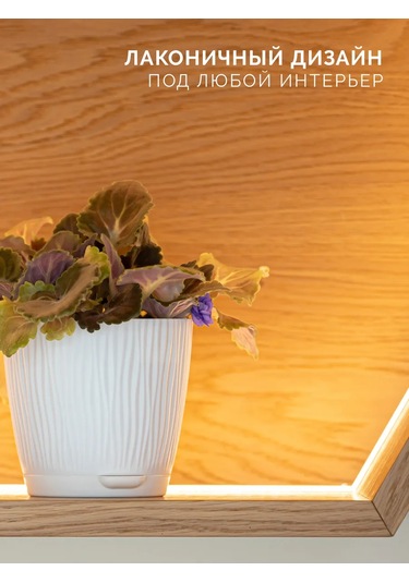 Al' Ternatıva İç Mekan Çiçek Saksıları 414483247