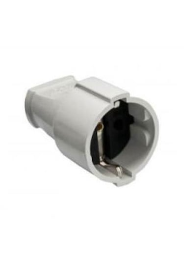 Topraklı Dişi Fiş