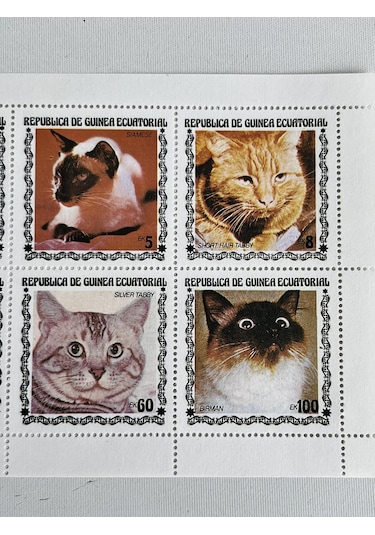 Kedi Temalı Ekvator Ginesi Damgasız 8'li Blok Pul