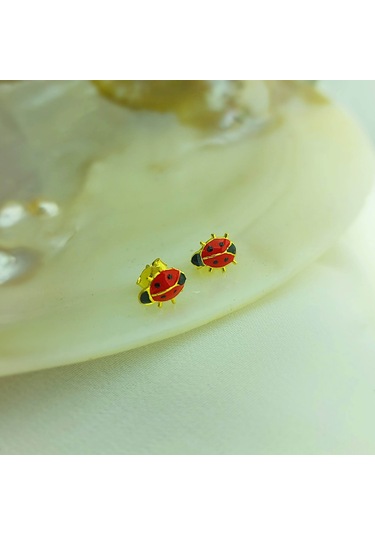 925 Ayar Gümüş Kırmızı Uğur Böceği Küpe Gold