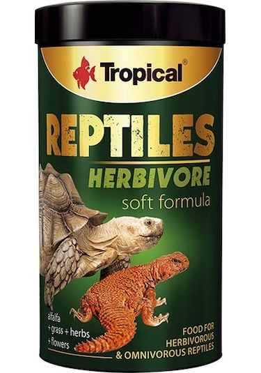 Tropical Reptiles Herbivore Soft Otobur Ve Omnivor Sürüngenler İç
