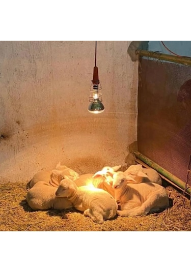 Anakucağı Isıtıcı Set , Dijital Termostatlı . Aydınlatmalı, Isıtıcı Lamba Hariç Set