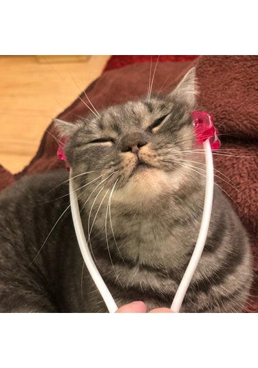 Mfa Kedi Fırça Masaj Aleti Pembe