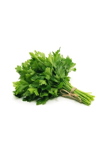 Maydanoz Tohumu Geniş Yapraklı Italyan Maydanoz Tohumu 250 Adet Tohum