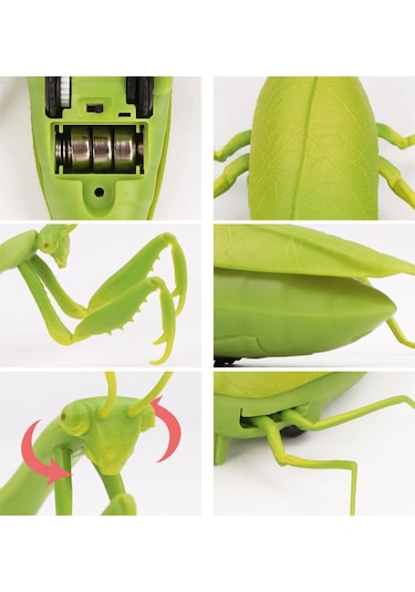 Sunman Uzaktan Kumandalı Mantis