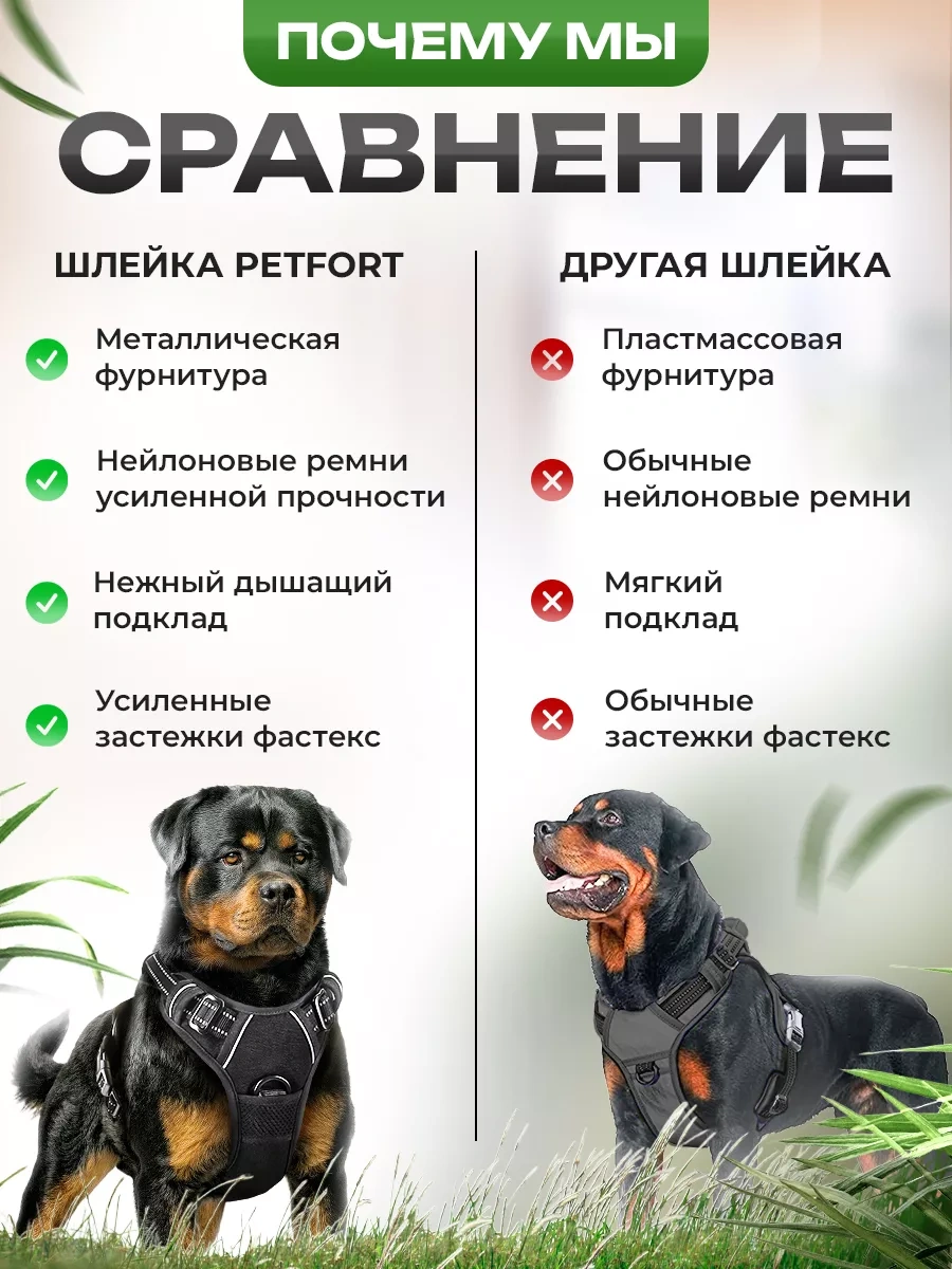 Petfort Orta Ve Büyük Irk Köpekler İçin Anatomik Koşu Kayışı 175383449 Siyah