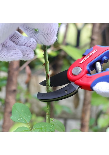 Workpro Wp332010 Profesyonel Bağ Bahçe Dal Budama Makası