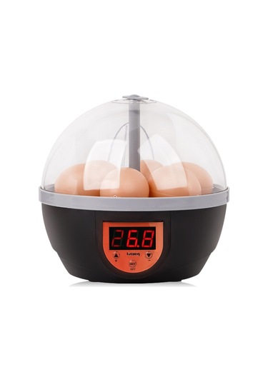 Suntek Kaz Bıldırcın Tavuk Için Yumurta Kuluçka Ev