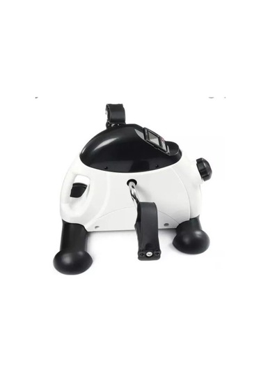 Mini Kondisyon Bisikleti