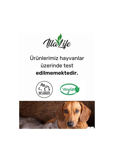 İlla Life D Vitamini Etkili Spf 50+Faktörlü Güneş Kremi