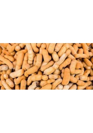 Ithal Tamarind Tohumu Ekim Seti