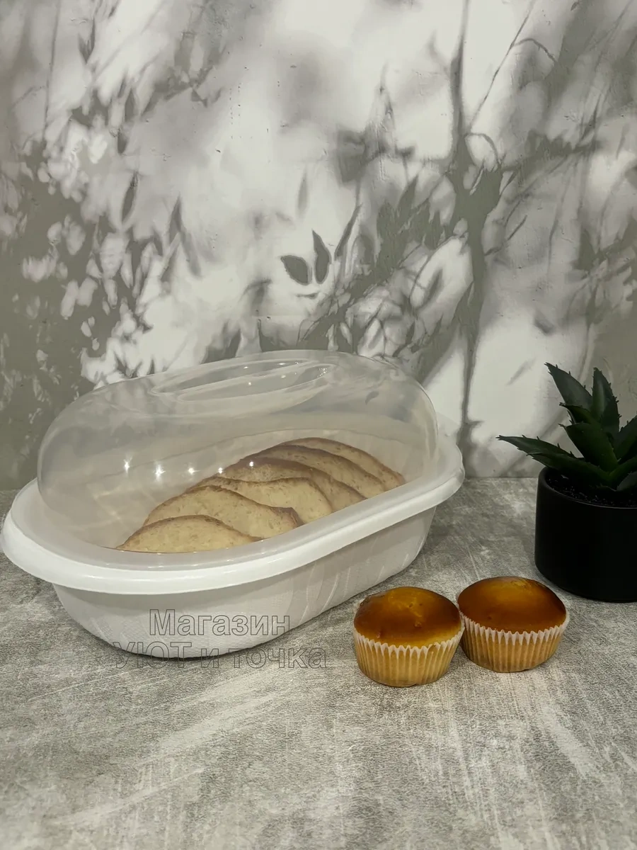 Uut İ Tocka Kapaklı Plastik Ekmek Kutusu Kruton Kabı 2 Adet 348007609 Bej