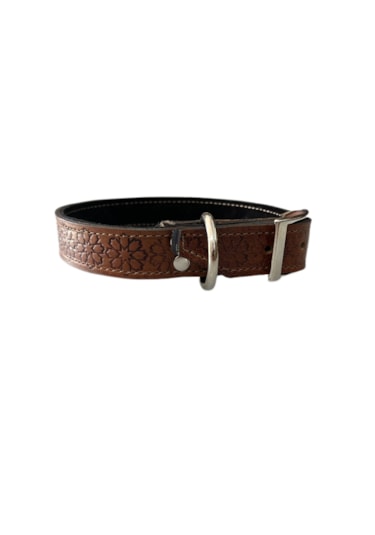 Ln Leather Gerçek Deri Orta Irk Vaketa Deri Köpek Tasması Taba 2.5 x 55 CM Taba