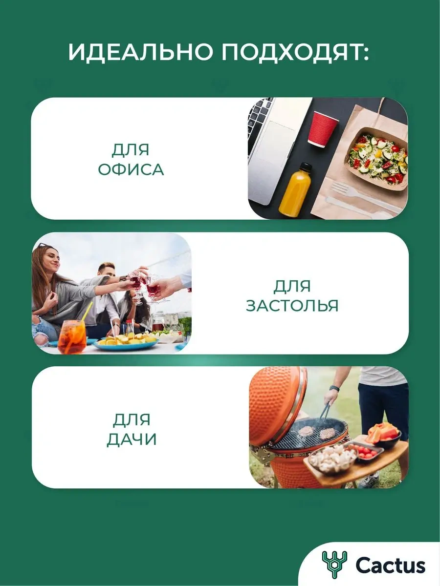 Cactus Tek Kullanımlık Plastik Plakalar Parti İçin 158565825 100 adet