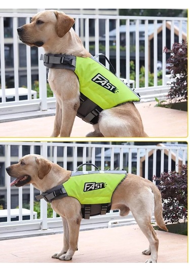 Köpekler İçin Yüzme Can Yeleği 242204756