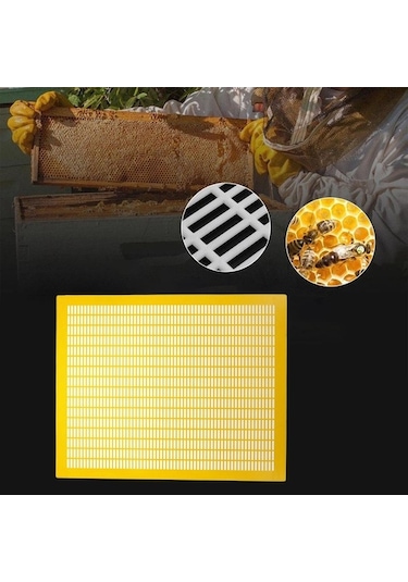 Pazly Suntek Sarı Pratik Kraliçe Dışlayıcı Çerçeve Arı 10 Hs