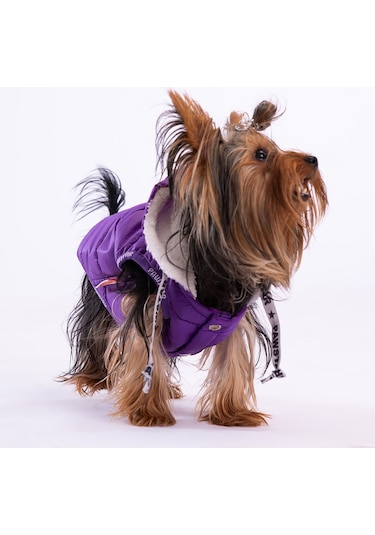Pawstar Mor Railway Anorak Yelek Köpek Yeleği