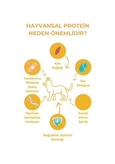 Herbamax Tavuklu ve Pirinçli Yetişkin Kedi Maması 10 KG