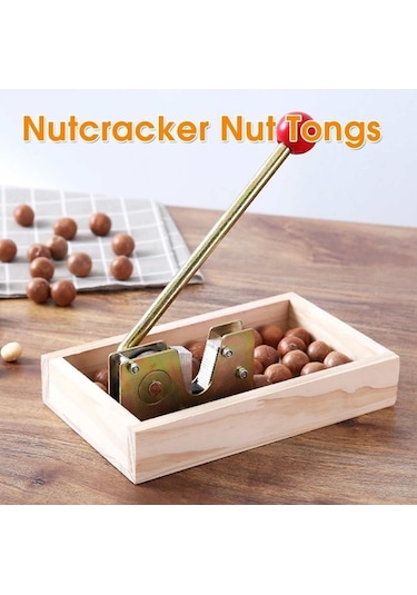 Primepickings İyiğe Fındık Ceviz Macadamia Meyve Açacağı Diğer Diğer