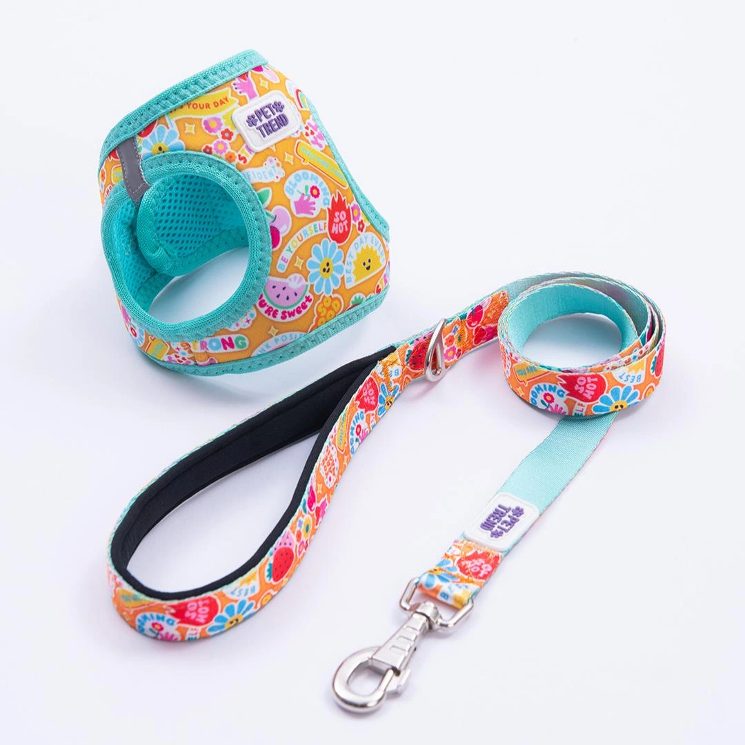 Pixsy Pals Göğüs Tasması Ve Sevk Kayışı Tasma Seti Emojili Kedi Köpek Göğüs Tasması Seti Mint