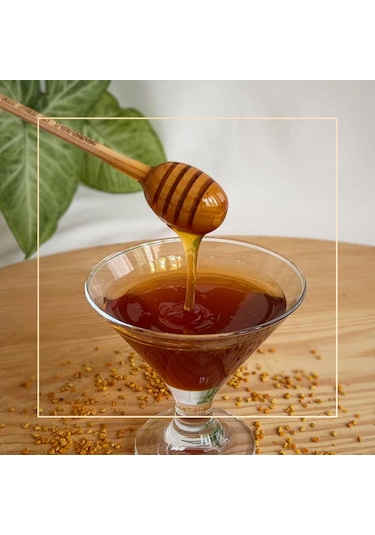 Turan Bal ve Yöresel Kestane Balı 850 G