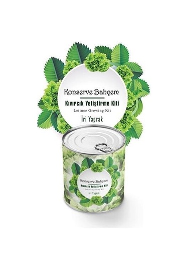 Buffer Konserve Bahçem Evde Konservede İri Yapraklı Kıvırcık Yetiştirme Kiti - 9026794700460drvs1