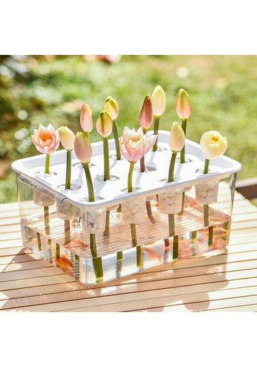 Suntek Hidroponik Yetiştirici Kutusu 12 Delik İç Mekanda Sarı