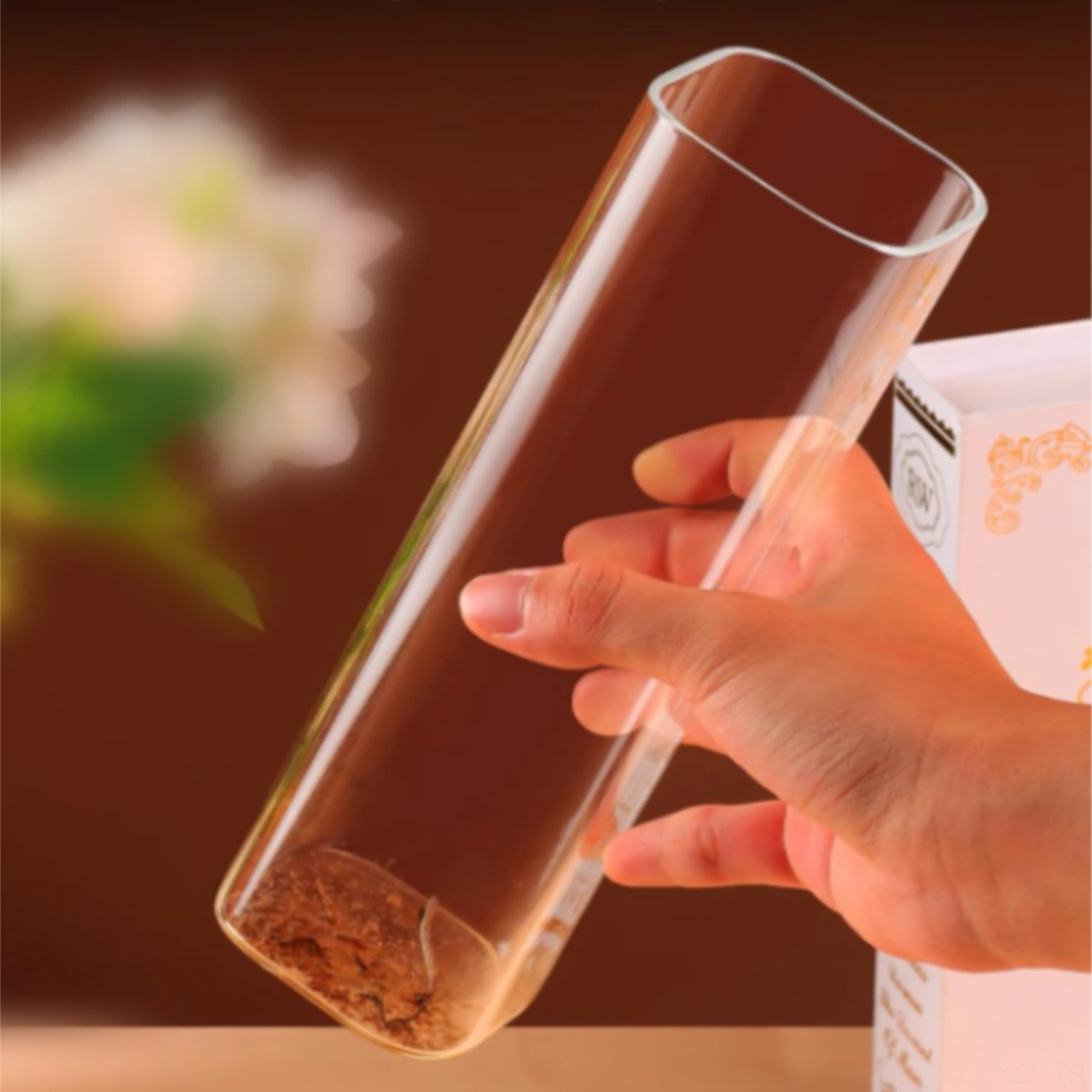 Konesam Modern Cam Koyu Kül Toplayıcı, Yumuşak Temizleme, 60x200mm, Aksesuar Yok Şeffaf