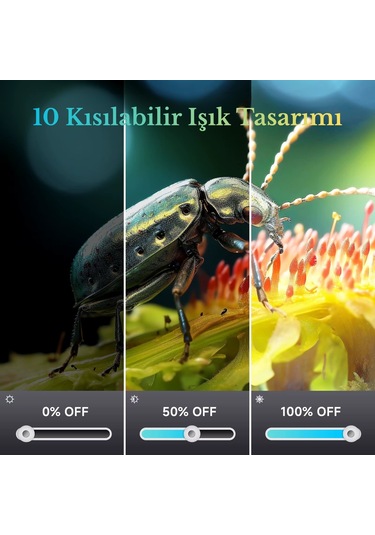 10.1 İnç Dm12 Hdmı Dijital Mikroskop 2000x Zoom 8 Led 20mp Tv