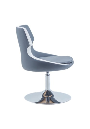 Bintaşmobilya Donna Ofis Çalışma Sandalyesi