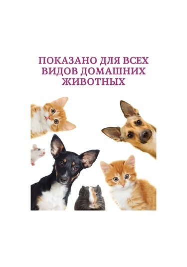 Zoolekar' Hayvan, İdrar Ve İşaret Kokusu Nötralizatörü 334469025