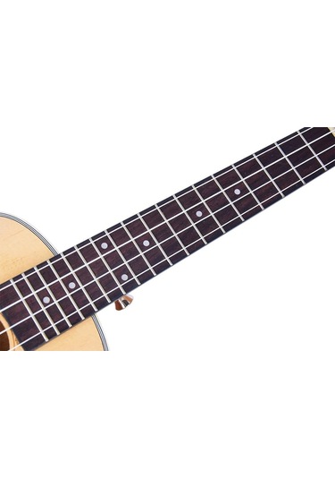 Tayste Tuk210-24 Concert Ukulele