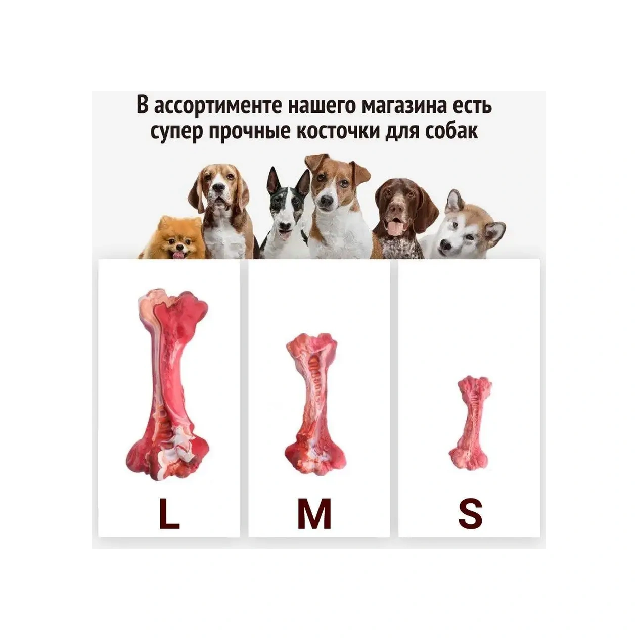 Tcallini Pets Kedi Ve Köpekler İçin Seramik Mama Kapları 400 Ml 164275865