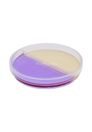 Petri Kabı 90x15 MM İki Bölmeli Steril Petri Kutusu 450adet