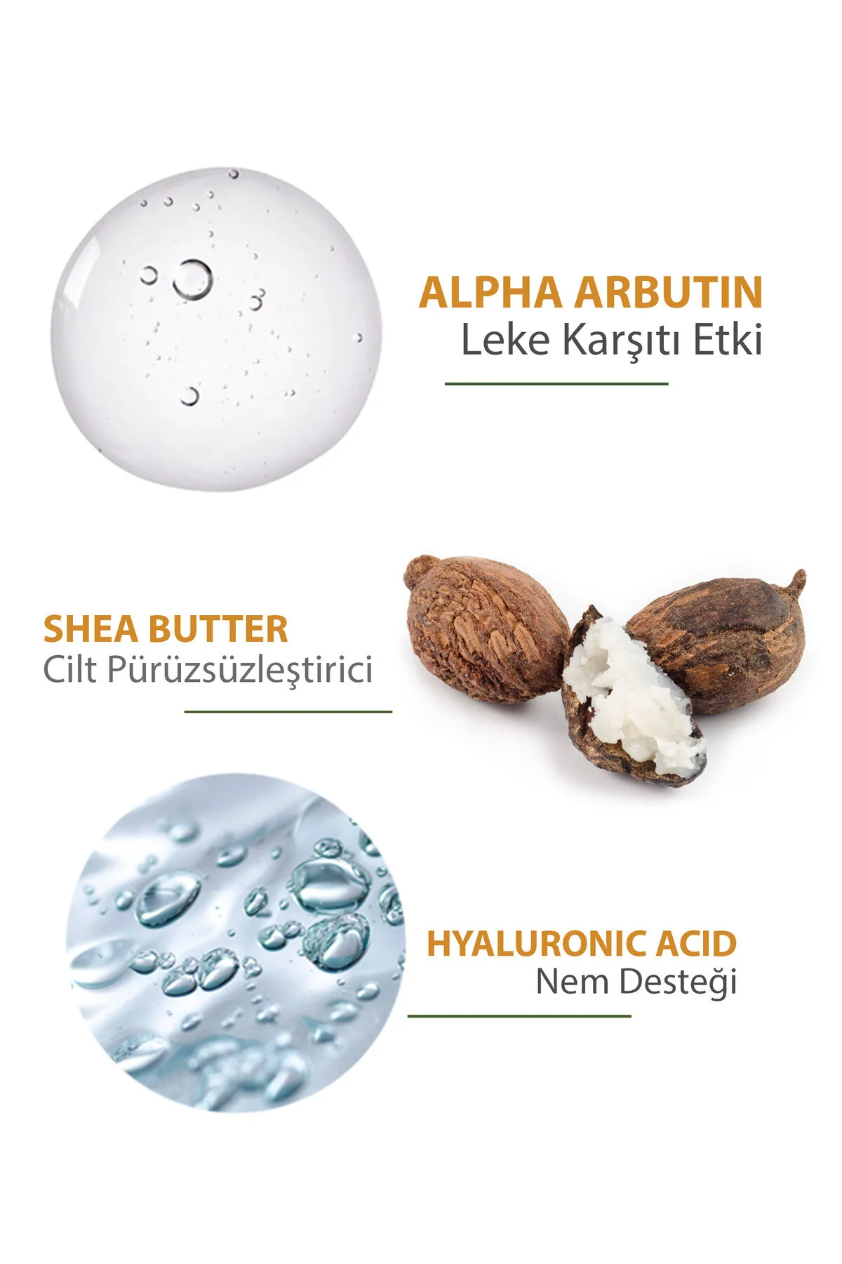 Se Rene Verte Leke Karşıtı Ve Yağlanma Karşıtı Renkli Güneş Koruyucu Krem Hybrid Filter Spf 50