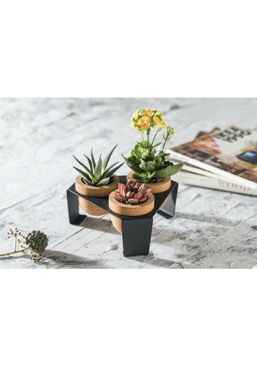 Halohope Metal Stantlı 3'lü Skulent Saksısı Siyah Saksılık