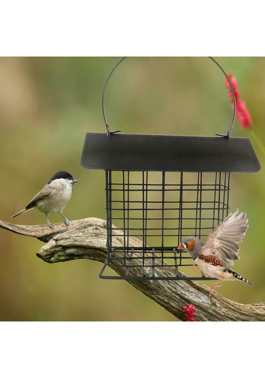 Yunboo Geniş Yemleme Açılıklı, Kuru Yem Saklama Korumalı, Taşınabilir Ve Temizlenebilir Retro Bakır Renkli Dış Mekan Kuş Yemleme Cihazı