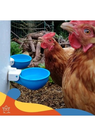 Pazly Otomatik Kümes Hayvanı Suluk Seti - 12 Adet Pp Plastik Su Kabı Tavuk, Ördek, Kaz, Hindi İçin